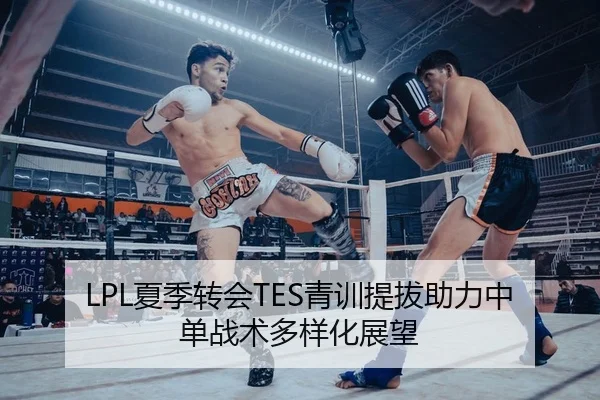 LPL夏季转会TES青训提拔助力中单战术多样化展望